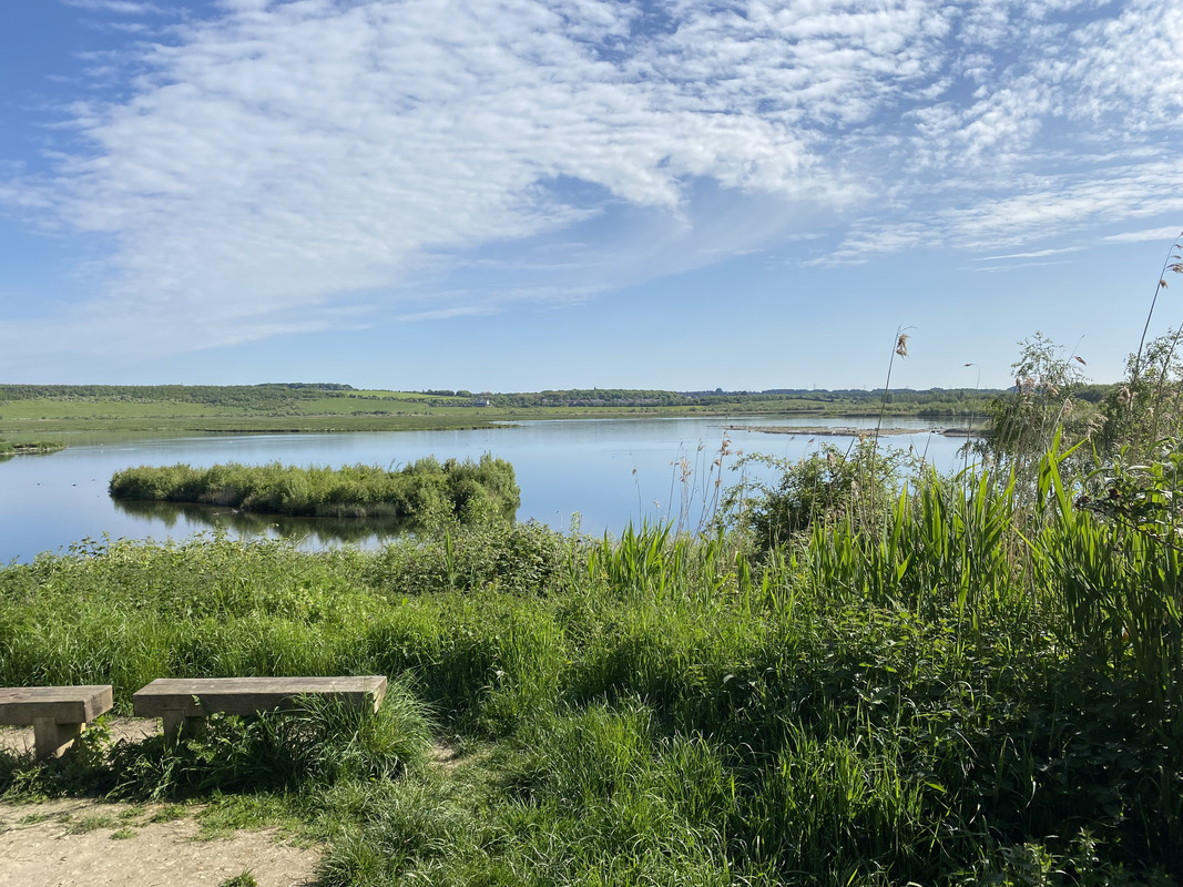 IMG 2582 — Postimages