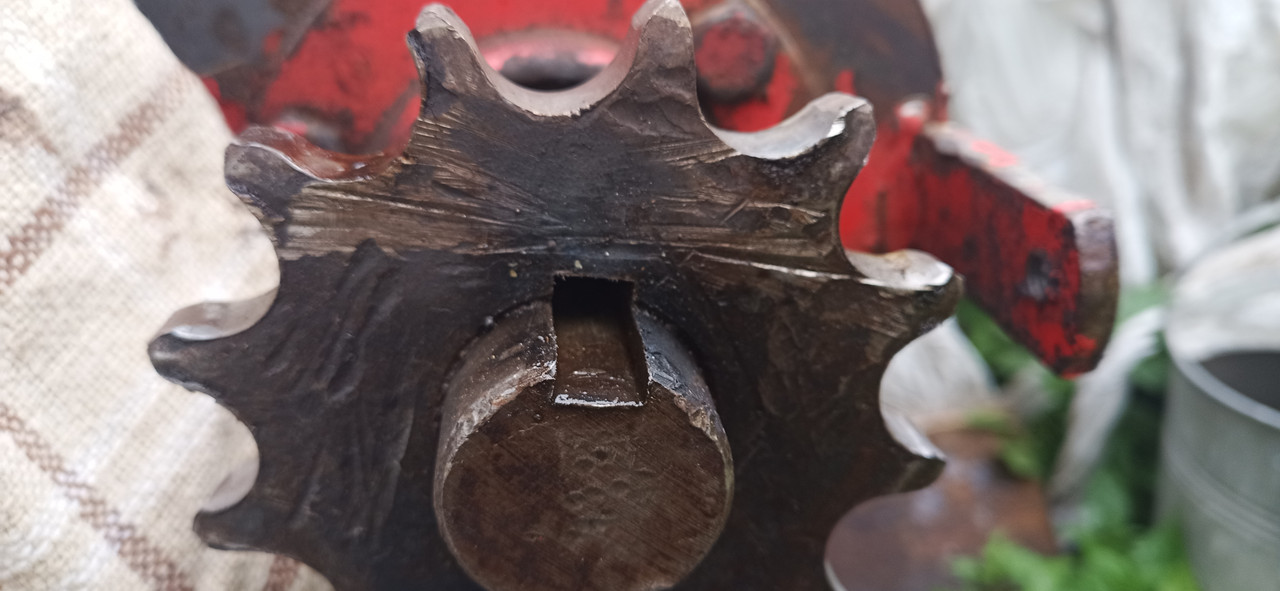 IMG_20250926_155236_649