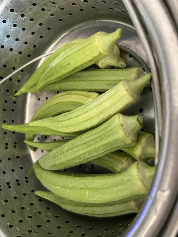 2A548202-2643-41B4-9DB9-39180A1F1F12