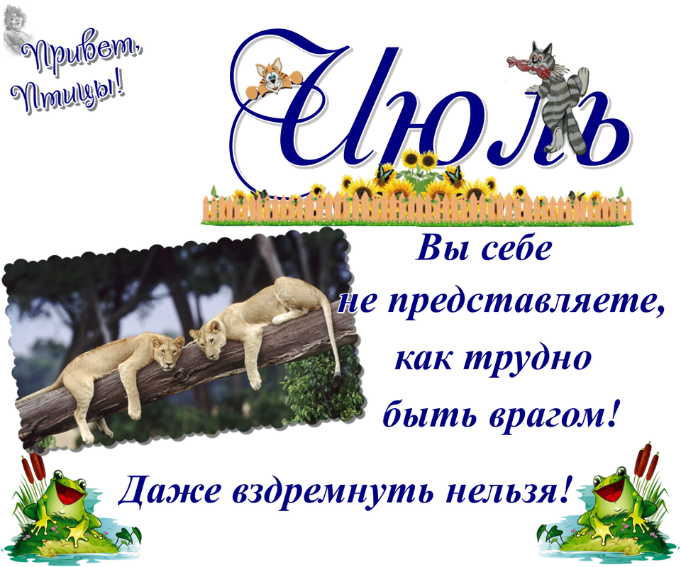 https://i.postimg.cc/L8dSZB77/12-07.png