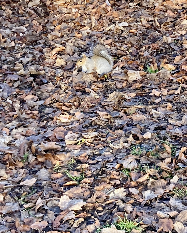 ABC187FC-EB3B-46F7-89F6-344B1475F9E6