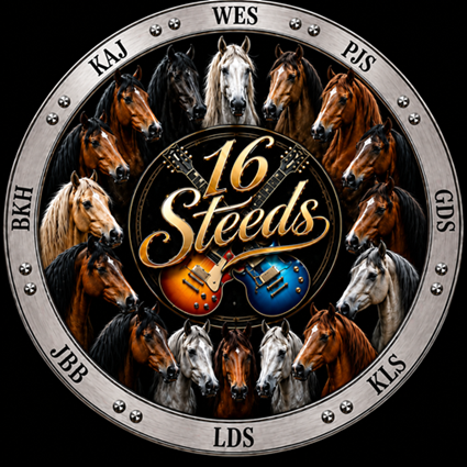 16 Steeds