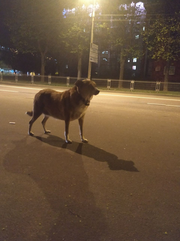 E8B1159A-A647-4824-A339-49CACBE39E62