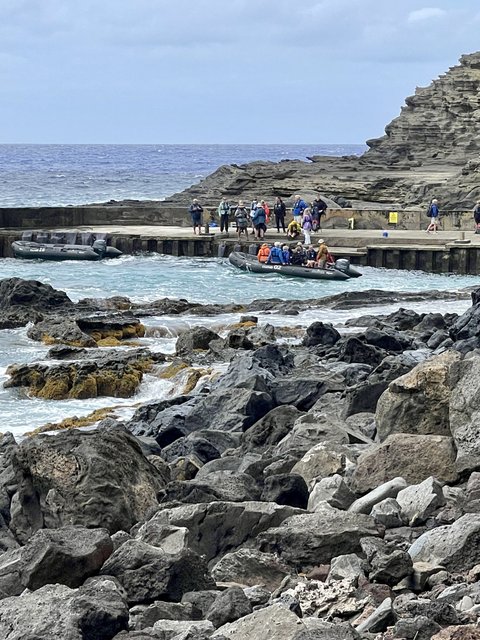 [Linked Image from i.postimg.cc]