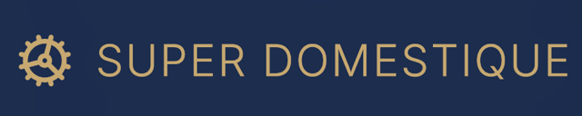 Super-Domestique-Logo-2.png
