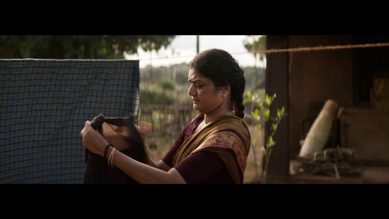 vlcsnap 2025 11 09 15h39m16s540