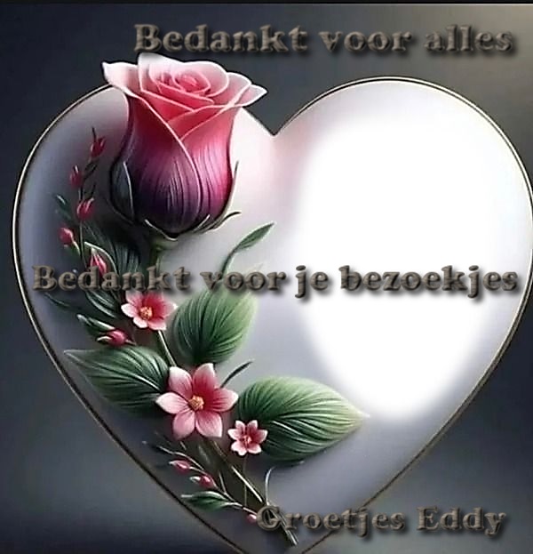 Welkom bij Pps Eddy