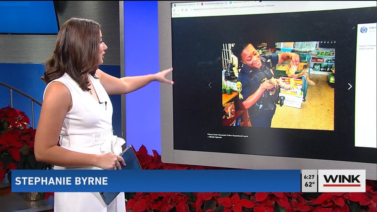 12.05 - 11.00.00 - WINK News @ 6 00AM Sunday. Local news, sports and ....ts_snapshot_00.28.10_[2021.