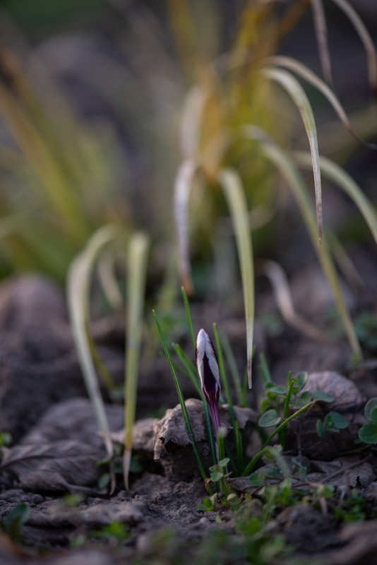 IMG-da8f5b521d06c04f4019c4c2eb7a5641-V