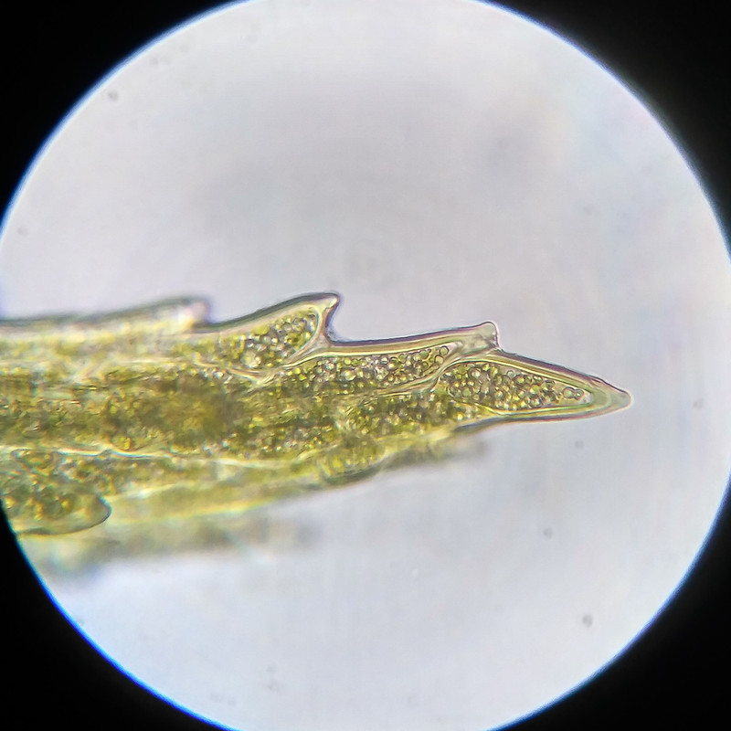 IMG 20250614 111827 HDR