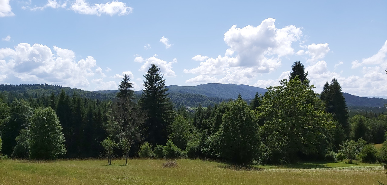 20210714-150355-c.jpg