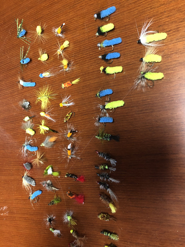 1044DA00-5FA9-4361-94AA-929C9A3E489E