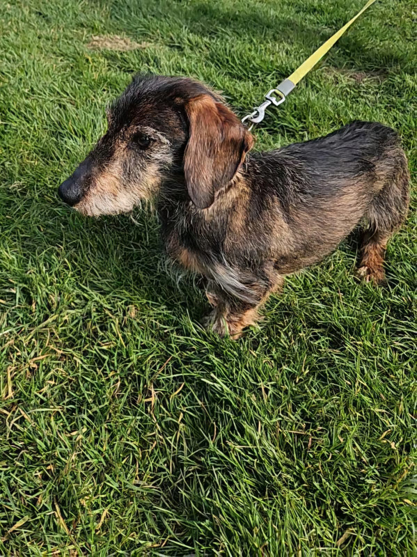 [Image: IMG-20250319-WA0003.jpg]