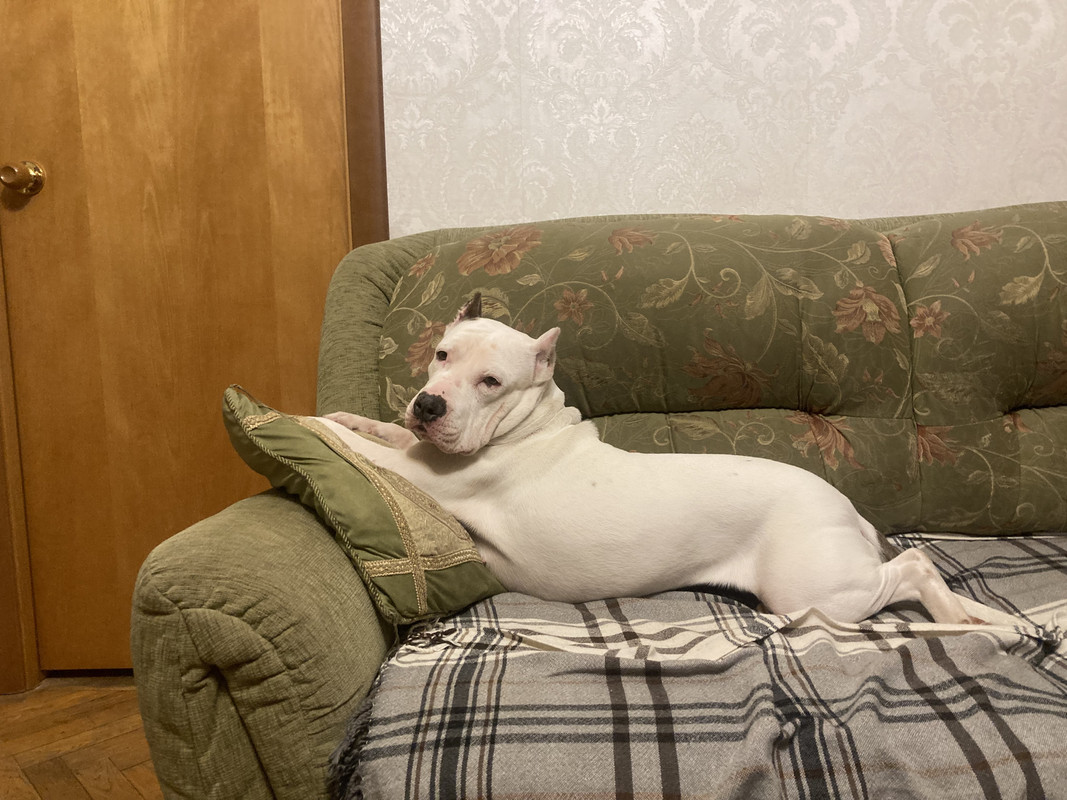 18C49474-5D48-48AF-814C-6C24B4CC478B