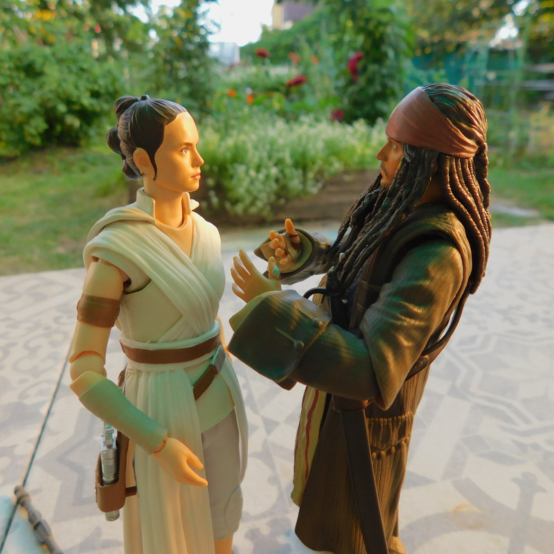 Дачно-Харлинский июнь-июль 2024 240