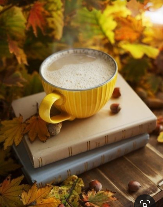 Screenshot_20231008_215007_Pinterest