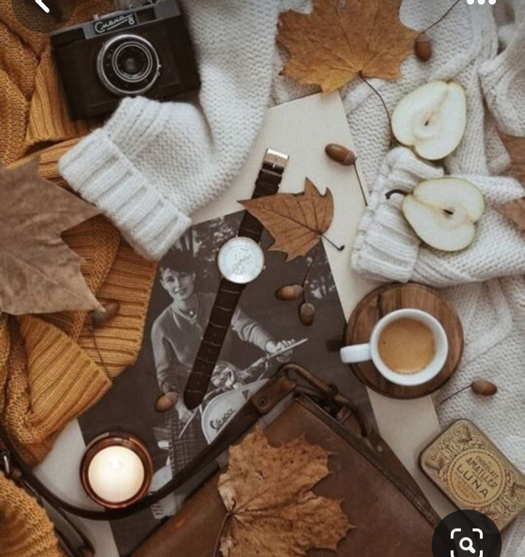 Screenshot_20230909_010645_Pinterest