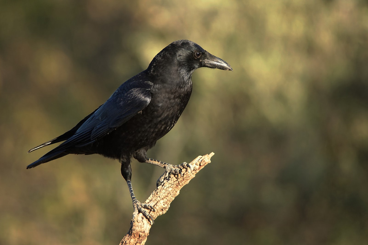 7E4018D0-F915-4CE4-8F5A-CEEB3027AEAA