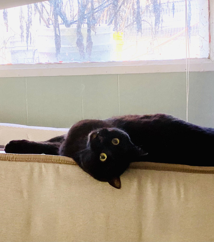 received_813177620334498