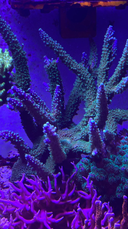 39ED2668-4916-4B06-9FB6-F0A8477DF158