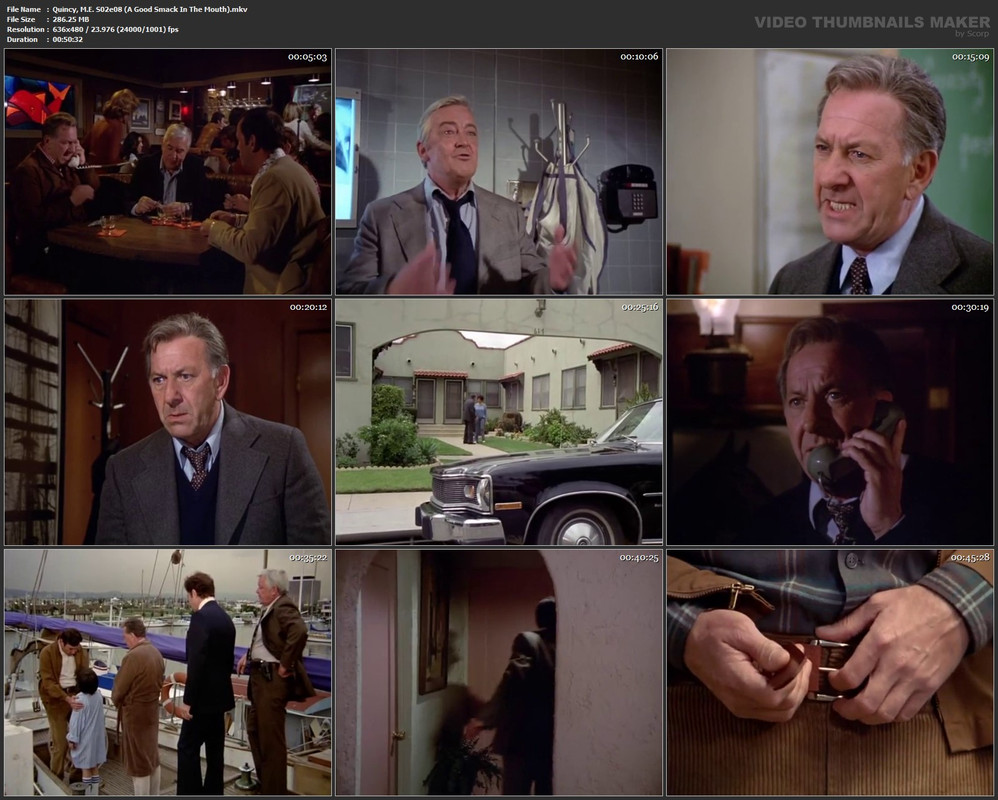 Quincy, M.E. S02e08 (A Good Smack In The Mouth).mkv