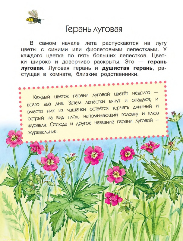 Onegov-Anatolij-Pochemu-kukushka-slozki-lot-page-0043