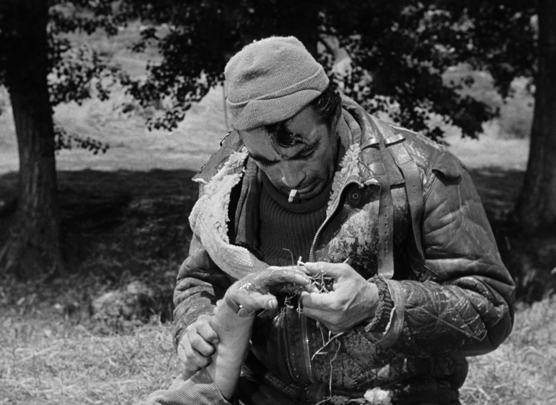 vlcsnap-2024-01-15-18h28m27s841