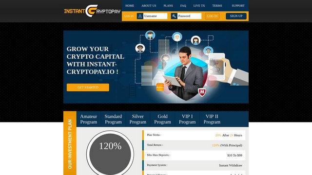 Instant Cryptopay - Instant-cryptopay.io 1612213328-116418265-instant-cryptopay-io