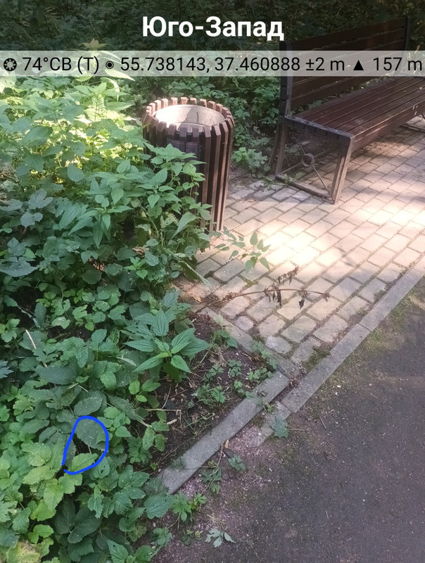 Solocator-2023-09-13-12-38-16