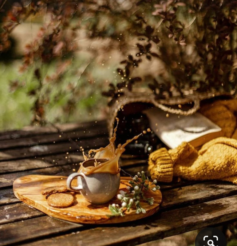 Screenshot_20231110_230436_Pinterest