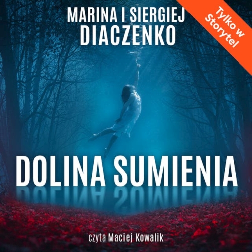 Diaczenko Marina i Siergiej - Dolina sumienia 