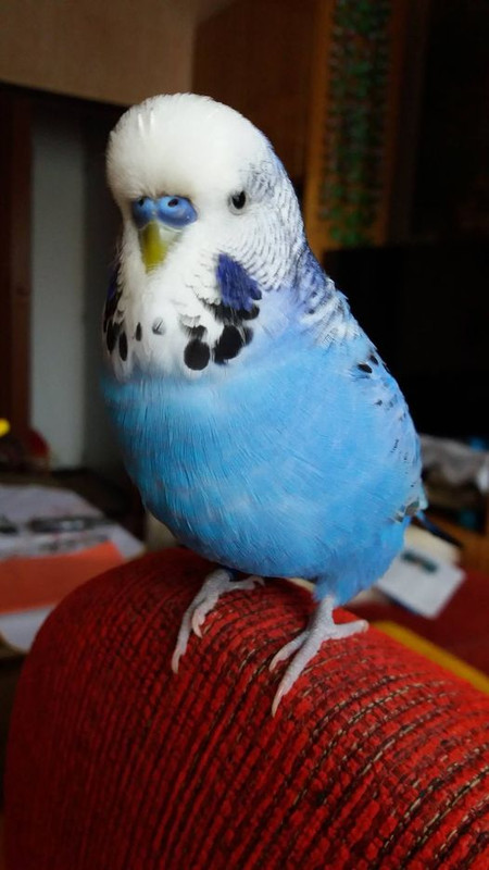 285035187_5551076884912361_3429237152538022603_n