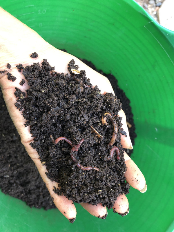 DB9B7423-4130-4ECE-962A-A9C10D4F7229