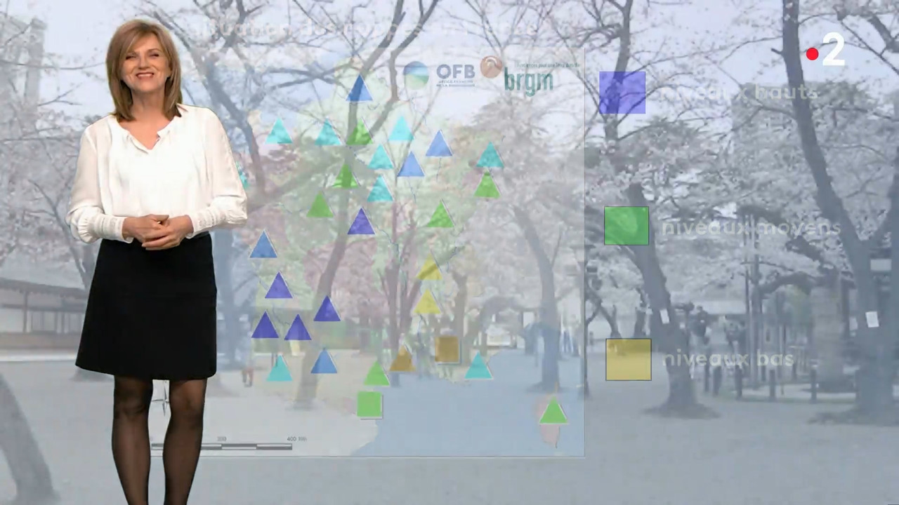 2021-03-22_20_35_Fr2_Meteo.mp4_snapshot_08.39.007