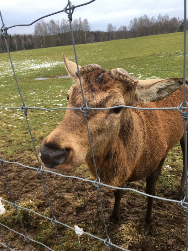 30F71F82-45ED-47ED-A42E-3D82F7E07A73