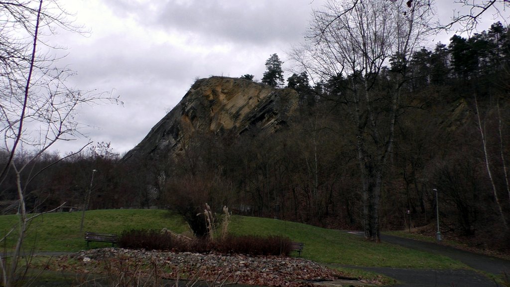 [Bild: S8490029.jpg]