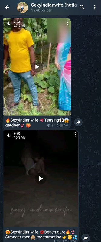 Screenshot_20241224_121305_Plus
