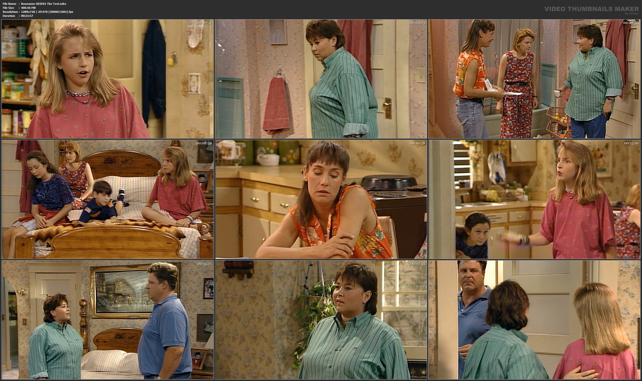 Roseanne S03E01 The Test.mkv