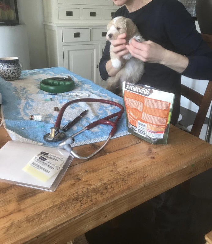 9FEC9938-578F-4DA3-BA9D-2B48F554DE7C