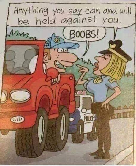 boobs