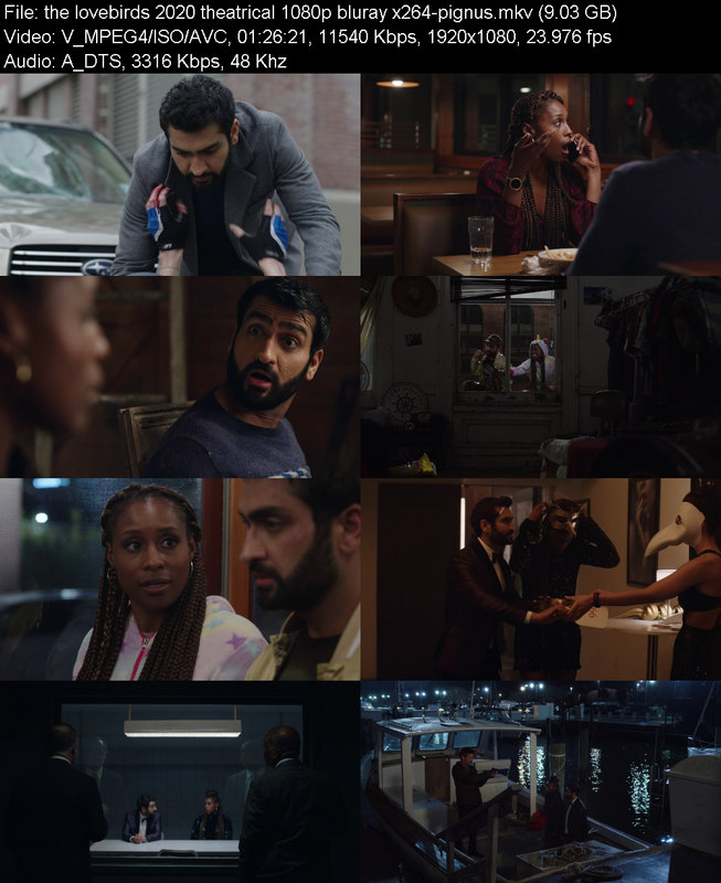 the-lovebirds-2020-theatrical-1080p-blur