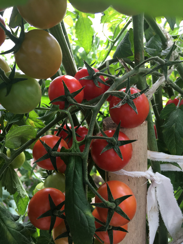 09112336-B14C-455B-B7C1-3A8B3FACCFFE