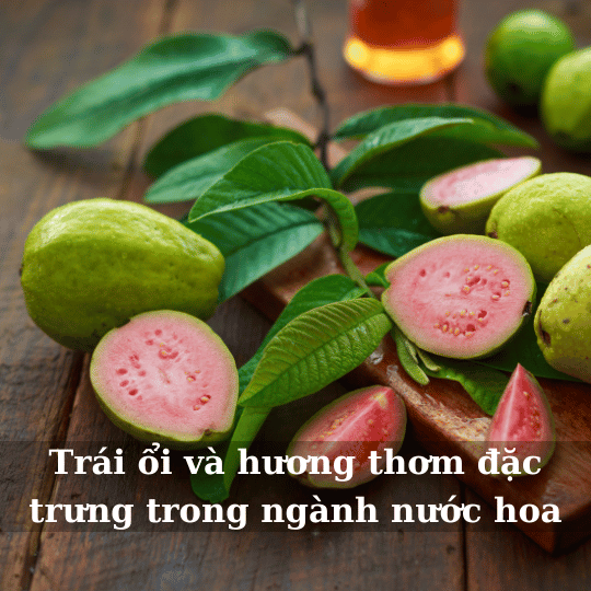 [Image: nuoc-hoa-huong-oi.png]