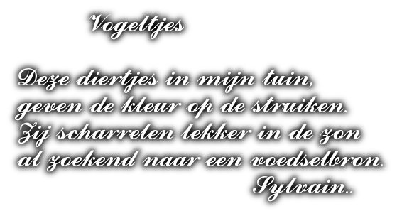 cooltext476145222278378