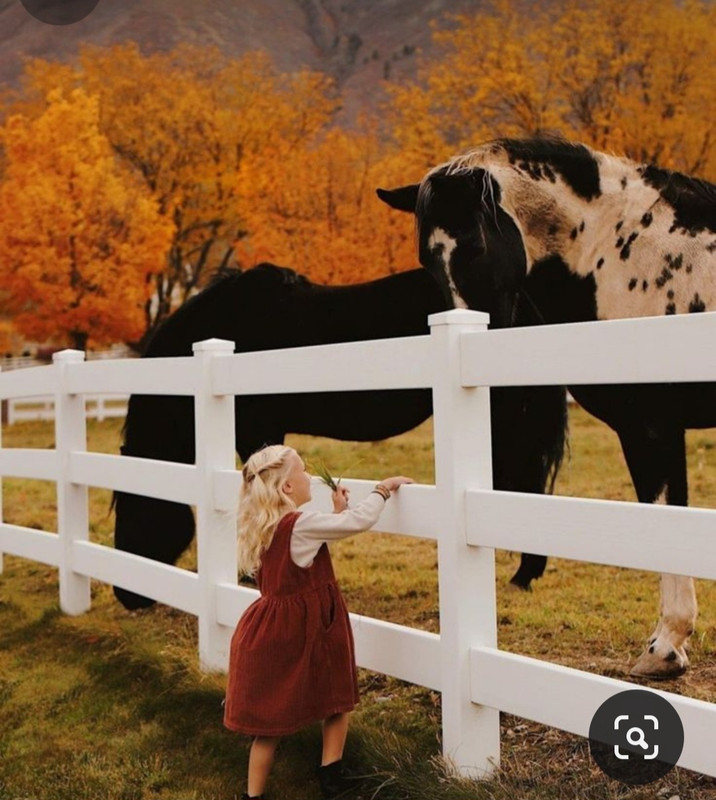 Screenshot_20231112_162108_Pinterest