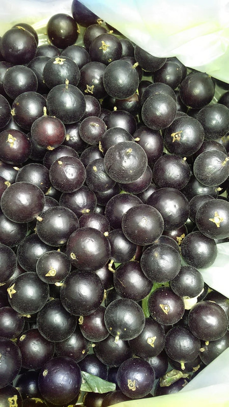 WhatsApp Image 2020-12-09 at 04.00.22 (8)