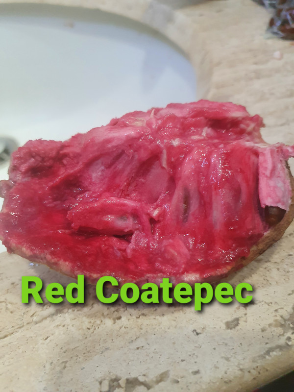 20210802_080503