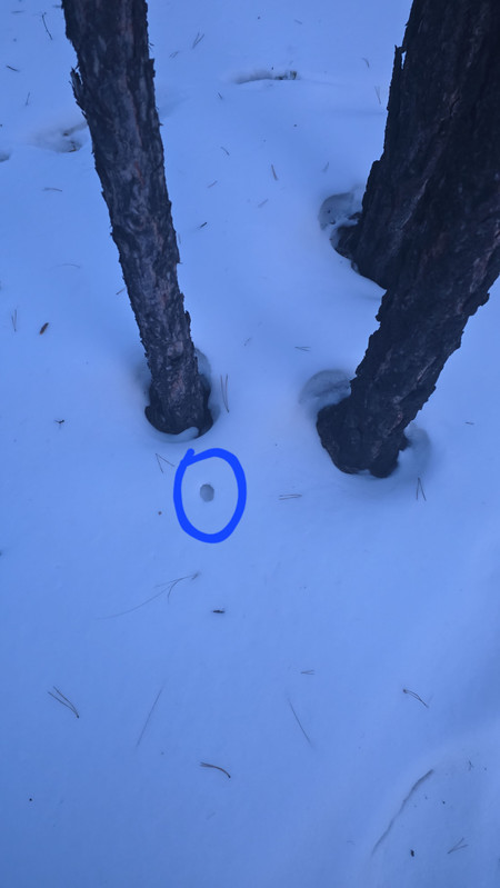 IMG2 25022026 080708