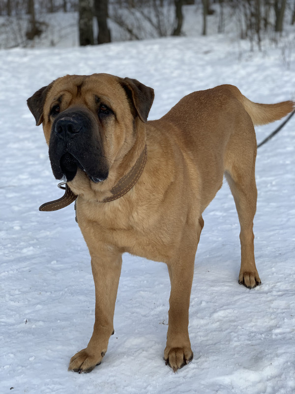 C1B6DFFB-D0AE-44AC-87C4-361CC93E7555