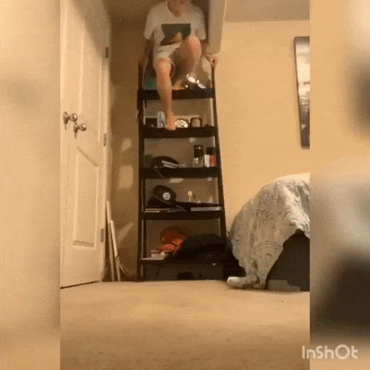 https://i.postimg.cc/L8kgxxtD/ezgif-4-985a3430b6b7.gif